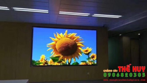 Thi công màn hình led hội trường