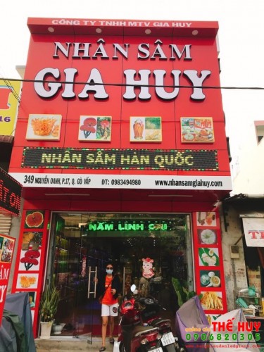 NHÂN SÂM GIA HUY